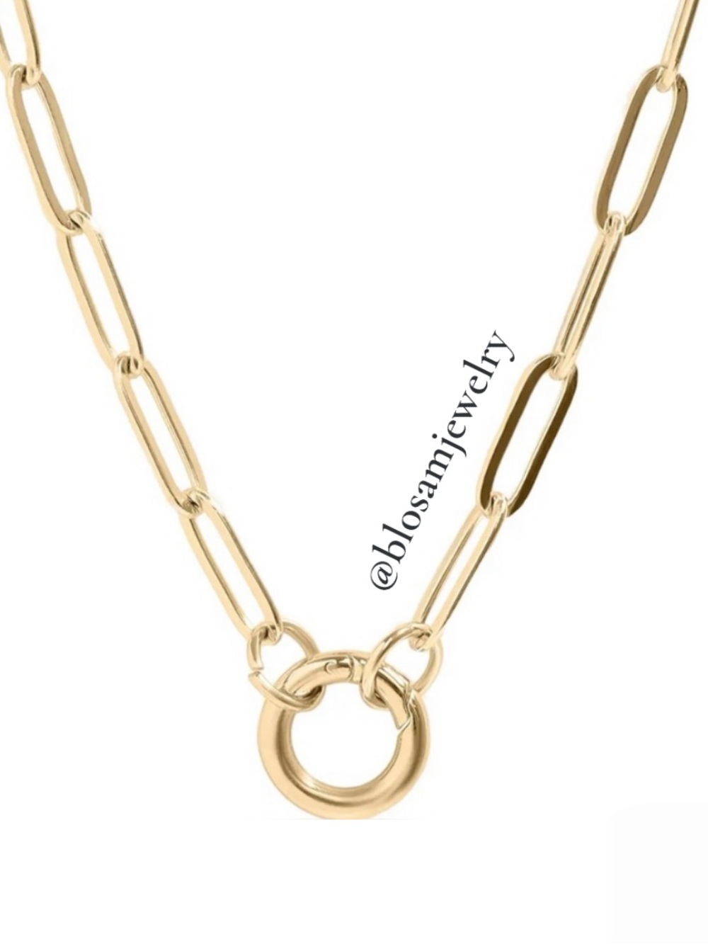 18K Gold PVD Stainless Steel Italian Horn Charm Holder Necklace NWT - Picture 6 of 7